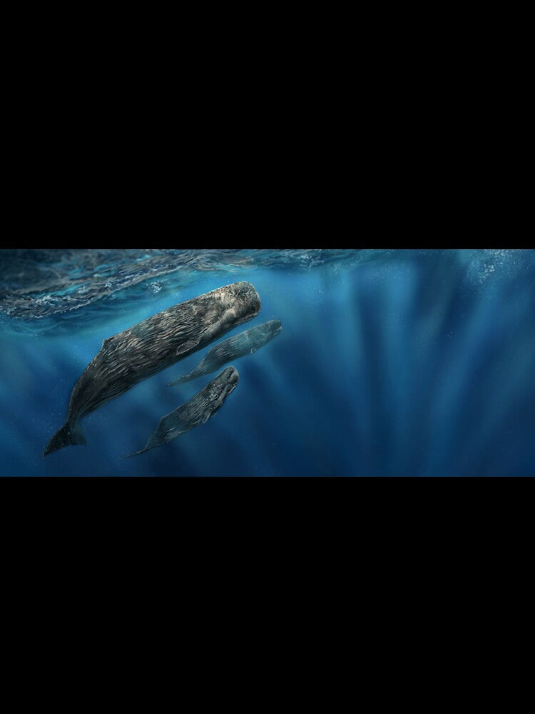 World Whale Day by alandodrawing T-Shirts, Hoodie, Sweatshirt | BlankRebels.com (Image 3)