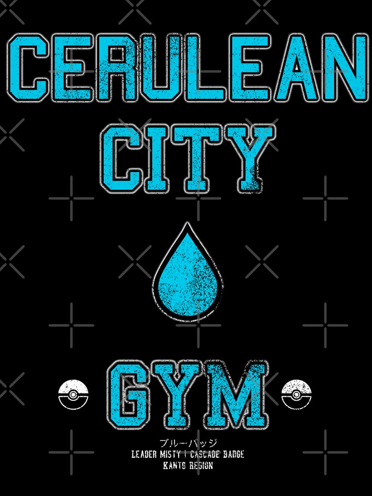 Cerulean City Gym by Smallzii T-Shirts, Hoodie, Sweatshirt | BlankRebels.com (Image 3)