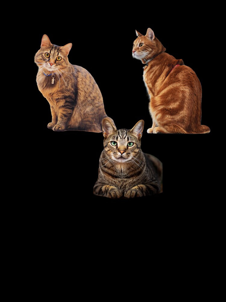Cat by Nenasvastanesto T-Shirts, Hoodie, Sweatshirt | BlankRebels.com (Image 3)