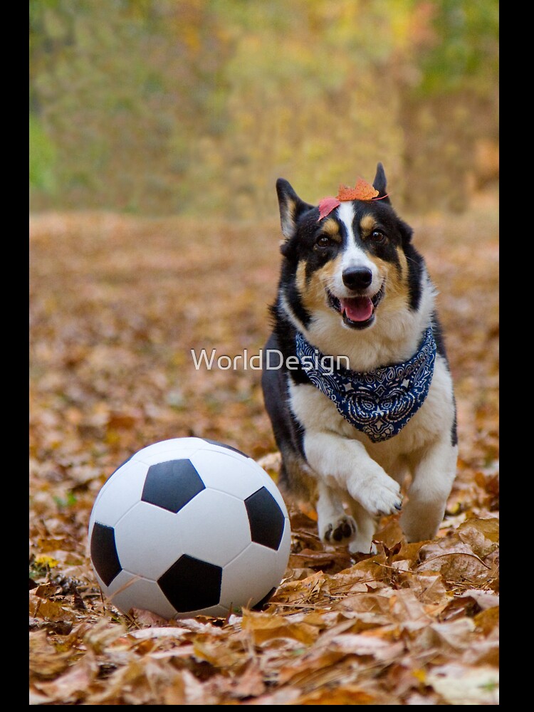 Four-legged Soccer Player by WorldDesign