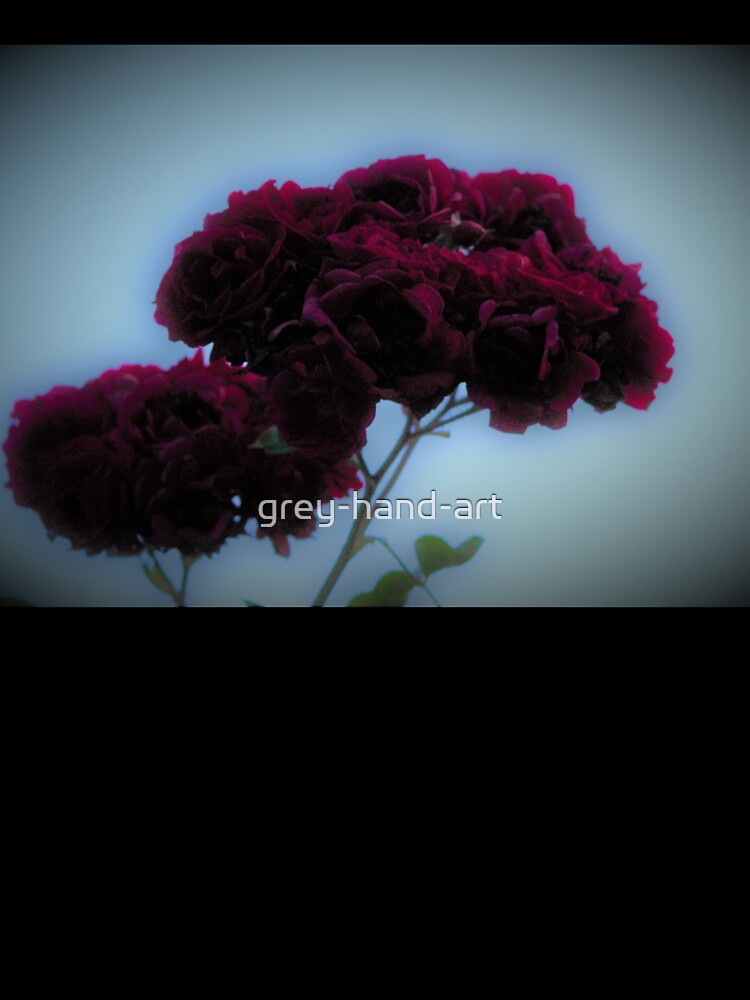 Dark red roses by grey-hand-art T-Shirts, Hoodie, Sweatshirt | BlankRebels.com (Image 3)