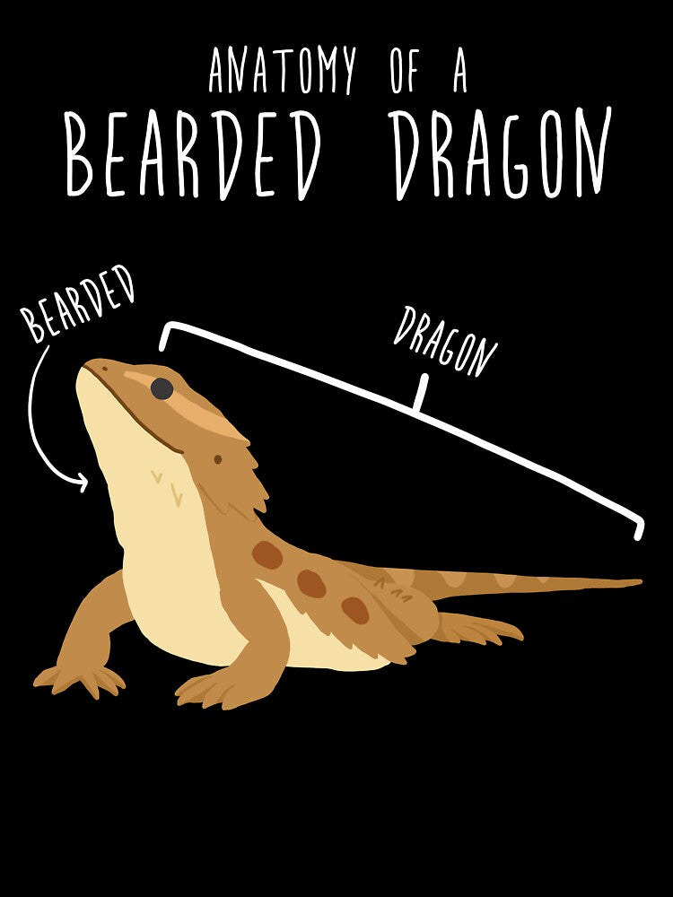 Bearded Dragon Lizard Reptile Anatomy by Clara Hollins T-Shirts, Hoodie, Sweatshirt | BlankRebels.com (Image 3)