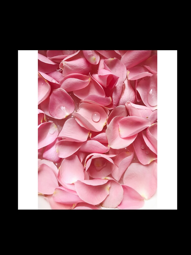 Rose by joeredbu