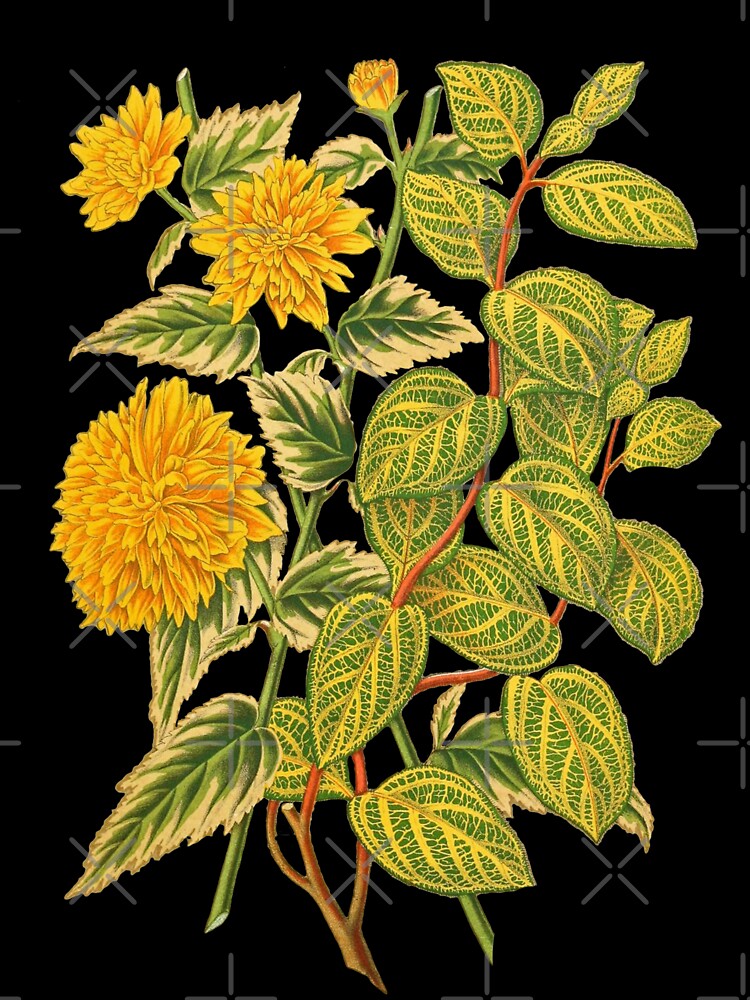 Honeysuckle Botanical Print by Veriepear T-Shirts, Hoodie, Sweatshirt | BlankRebels.com (Image 3)