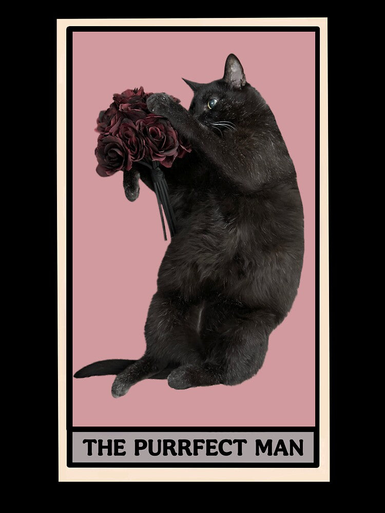 Cat Tarot Card • The Purrfect Man by MannyShop T-Shirts, Hoodie, Sweatshirt | BlankRebels.com (Image 3)