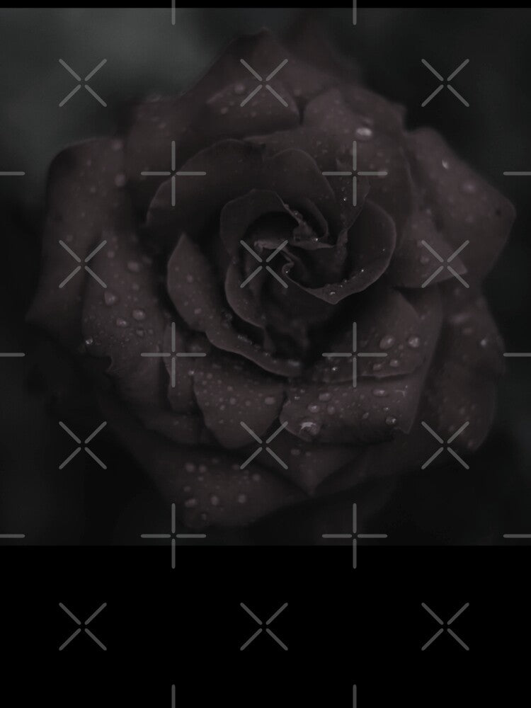 Black Rose by Nature-Arts