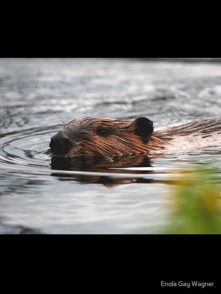 Maine Beaver by Enola Gay Wagner T-Shirts, Hoodie, Sweatshirt | BlankRebels.com (Image 3)