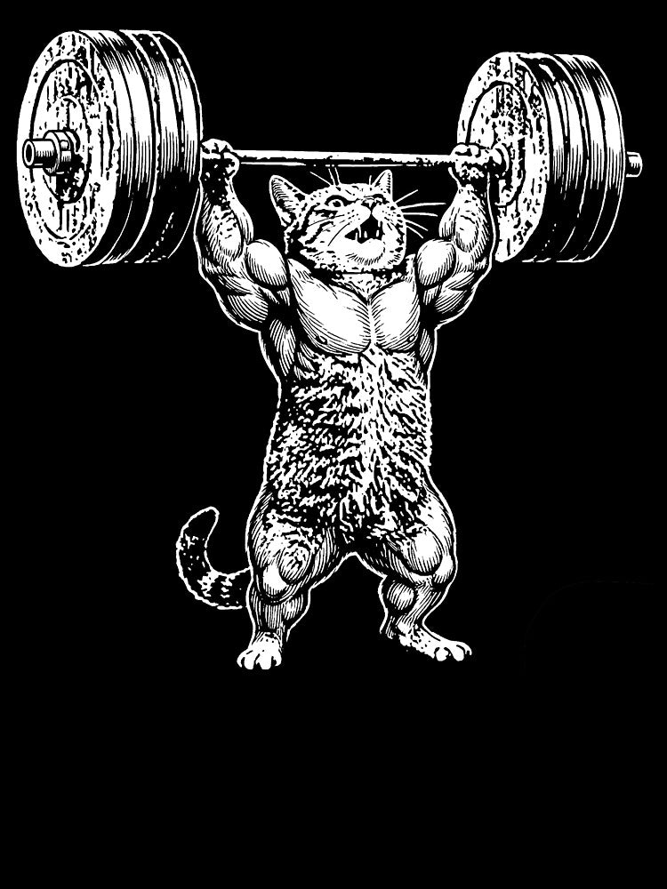 Funny Cat Gym Shirt Cat Workout T Shirt Funny Deadlift Cat Meme Hoodie Gym Pump Cover Cat Dad gift by... (Image 3)