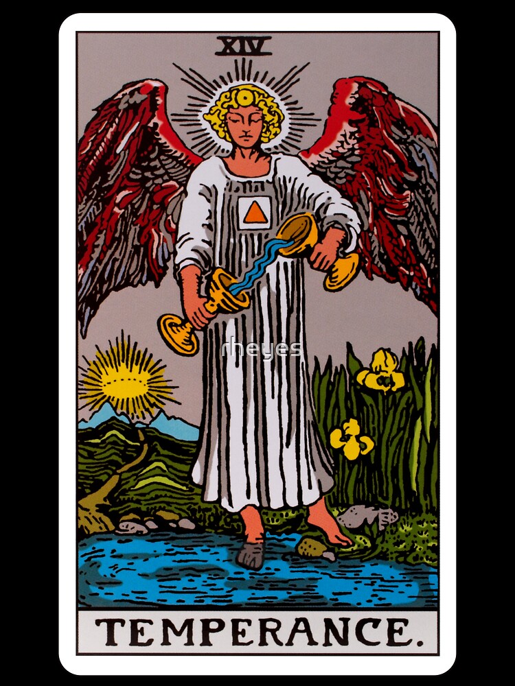 Temperance by rheyes T-Shirts, Hoodie, Sweatshirt | BlankRebels.com (Image 3)