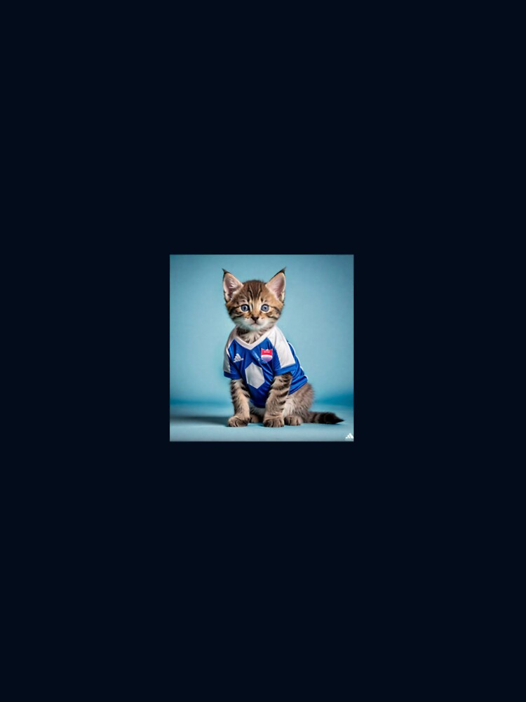 Kitz in Kitz -kittens in soccer kits by skippykitty