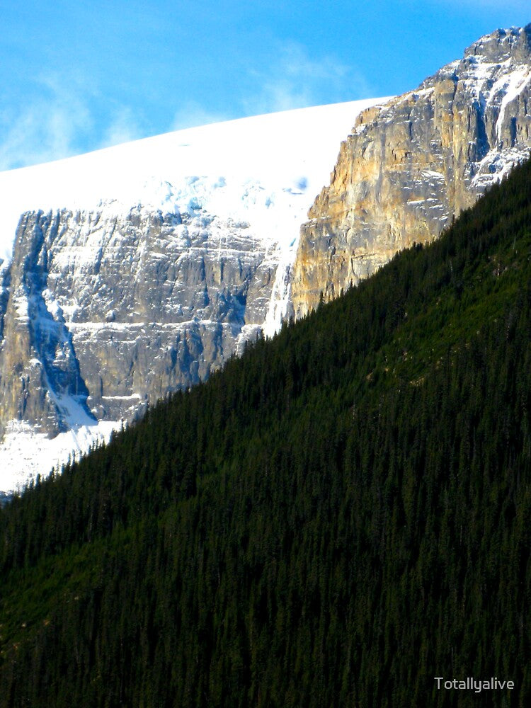 Rocky Mountains by Totallyalive T-Shirts, Hoodie, Sweatshirt | BlankRebels.com (Image 2)