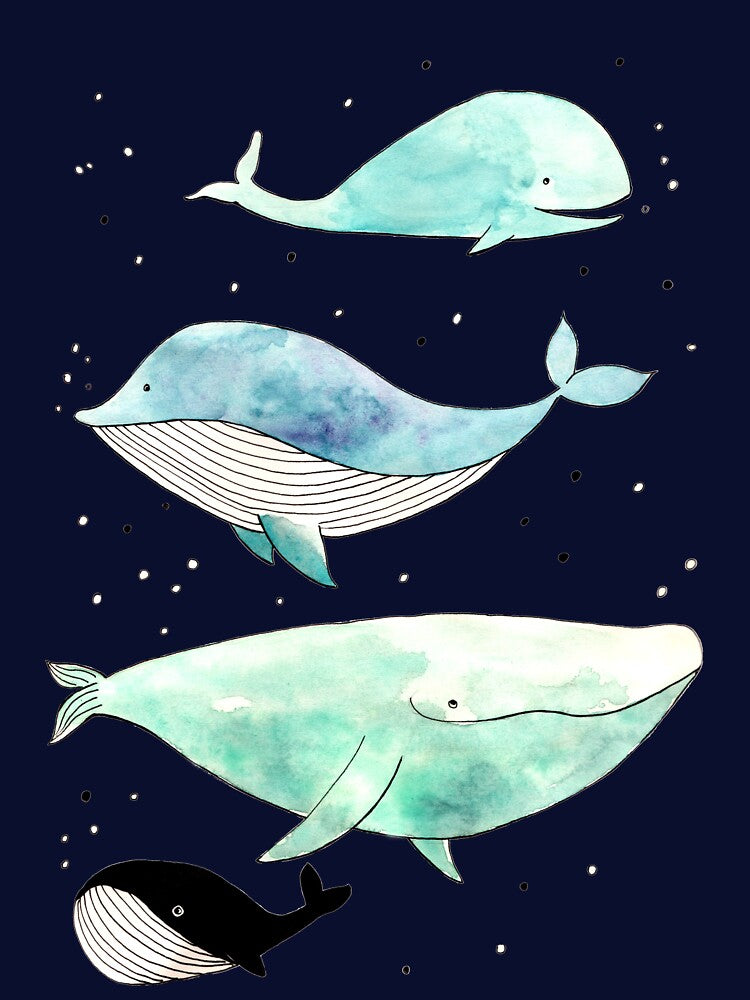 Blue whales by Tina van Dijk