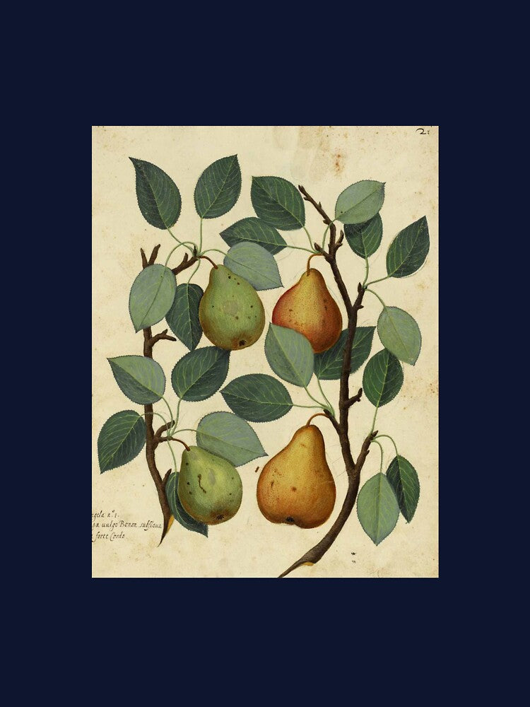 Vintage pears by HomeOfAfrica T-Shirts, Hoodie, Sweatshirt | BlankRebels.com (Image 3)
