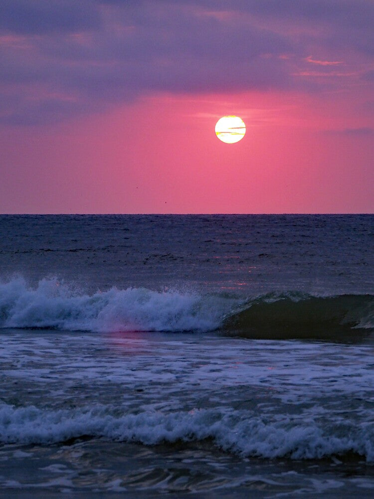 Sunrise 560 by Strawflower Oasis T-Shirts, Hoodie, Sweatshirt | BlankRebels.com (Image 3)