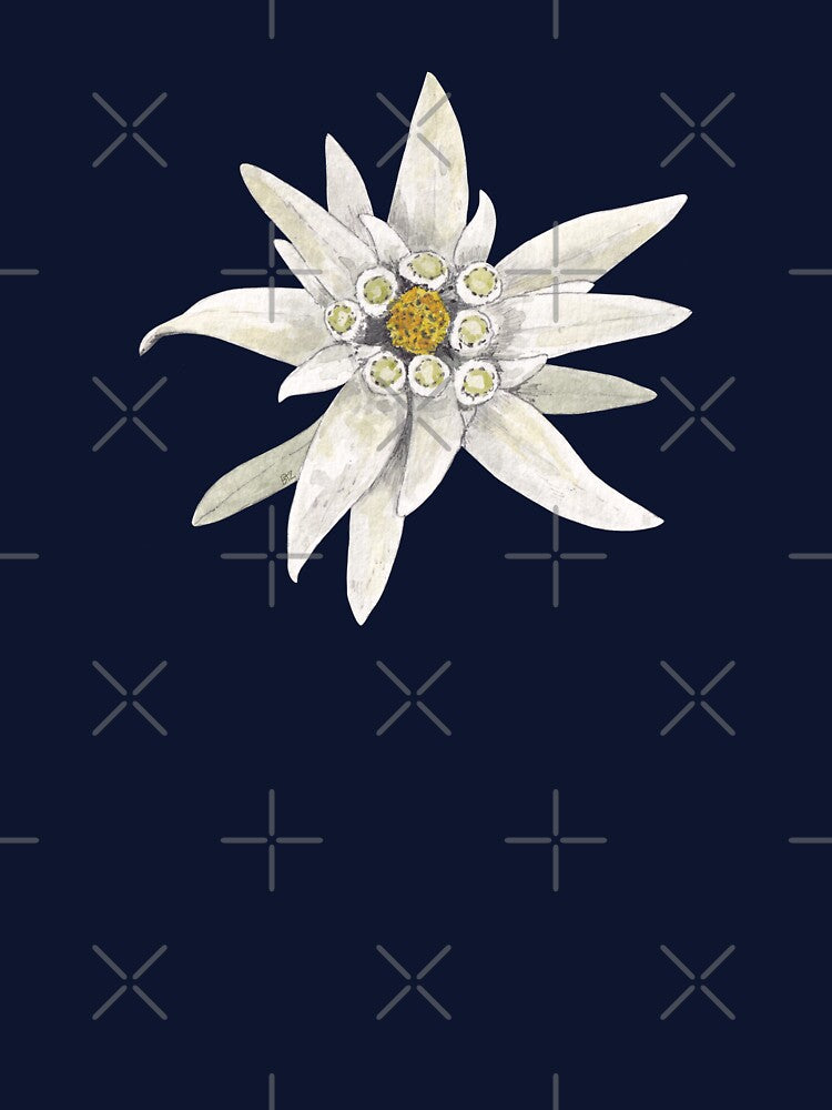 EDELWEISS-Leontopodium alpinum 2 by BEATRIZ ABAITUA