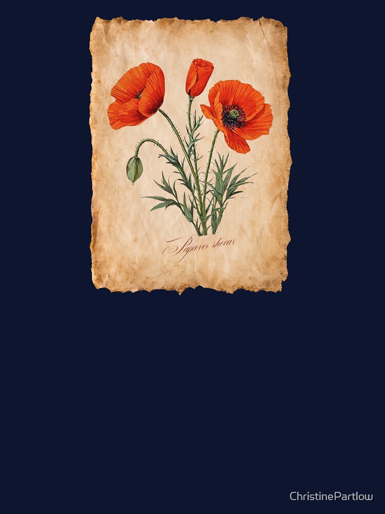 Papaver rhoeas | Botanical Illustration with Script on Vintage Parchment by ChristinePartlow T-Shirts, Hoodie,... (Image 3)