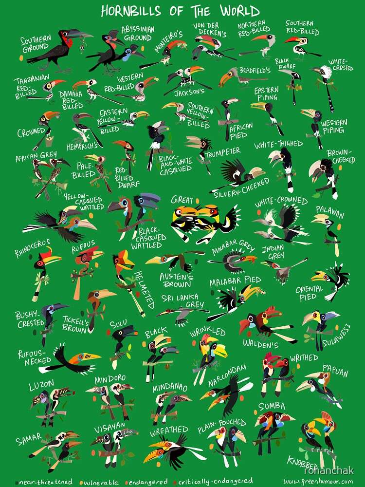 Hornbills of the World by Green Humour T-Shirts, Hoodie, Sweatshirt | BlankRebels.com (Image 3)