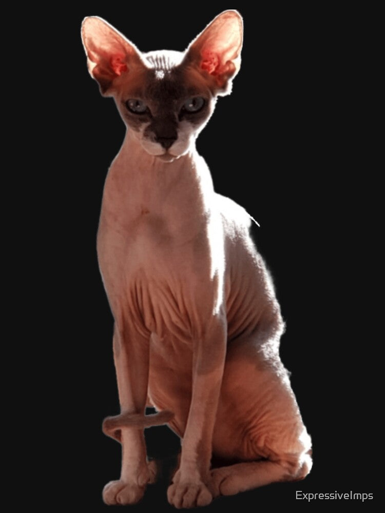 Sphinx Cat Natural Sunlight by Expressive Imprints T-Shirts, Hoodie, Sweatshirt | BlankRebels.com (Image 3)
