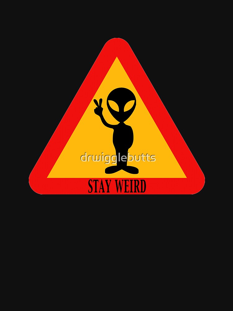 Funny Alien Gift Stay Weird by drwigglebutts T-Shirts, Hoodie, Sweatshirt | BlankRebels.com (Image 3)