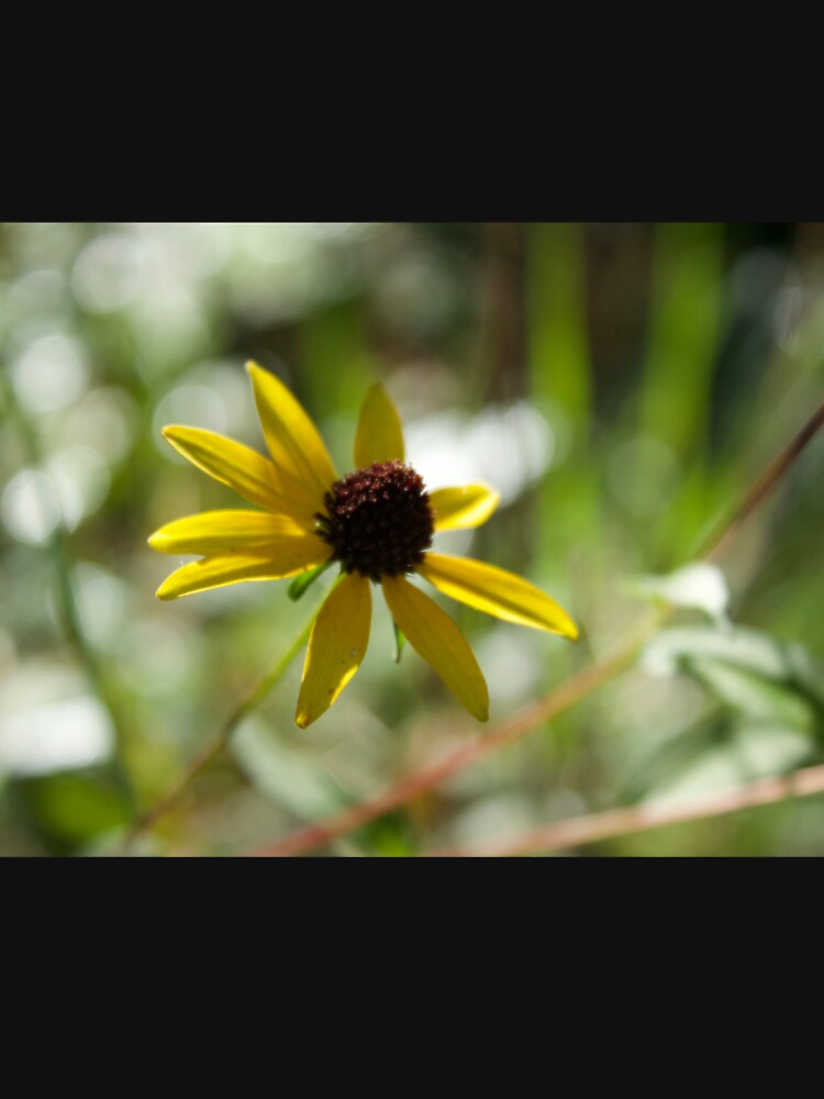 Black-Eyed Susan by rdthompson19 T-Shirts, Hoodie, Sweatshirt | BlankRebels.com (Image 2)