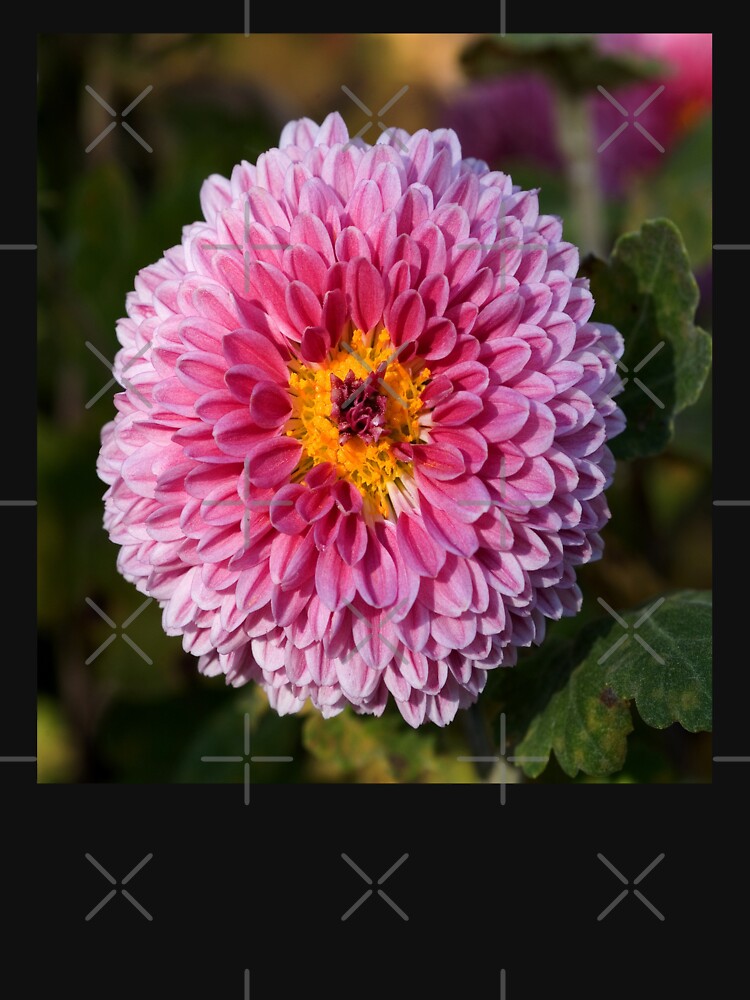 Chrysanthemum by virilamissa T-Shirts, Hoodie, Sweatshirt | BlankRebels.com (Image 3)