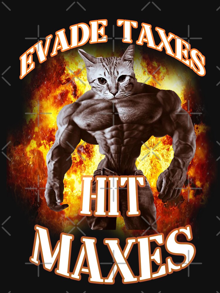 evade taxes hit maxes cat gym meme by EpicEpperal T-Shirts, Hoodie, Sweatshirt | BlankRebels.com (Image 3)