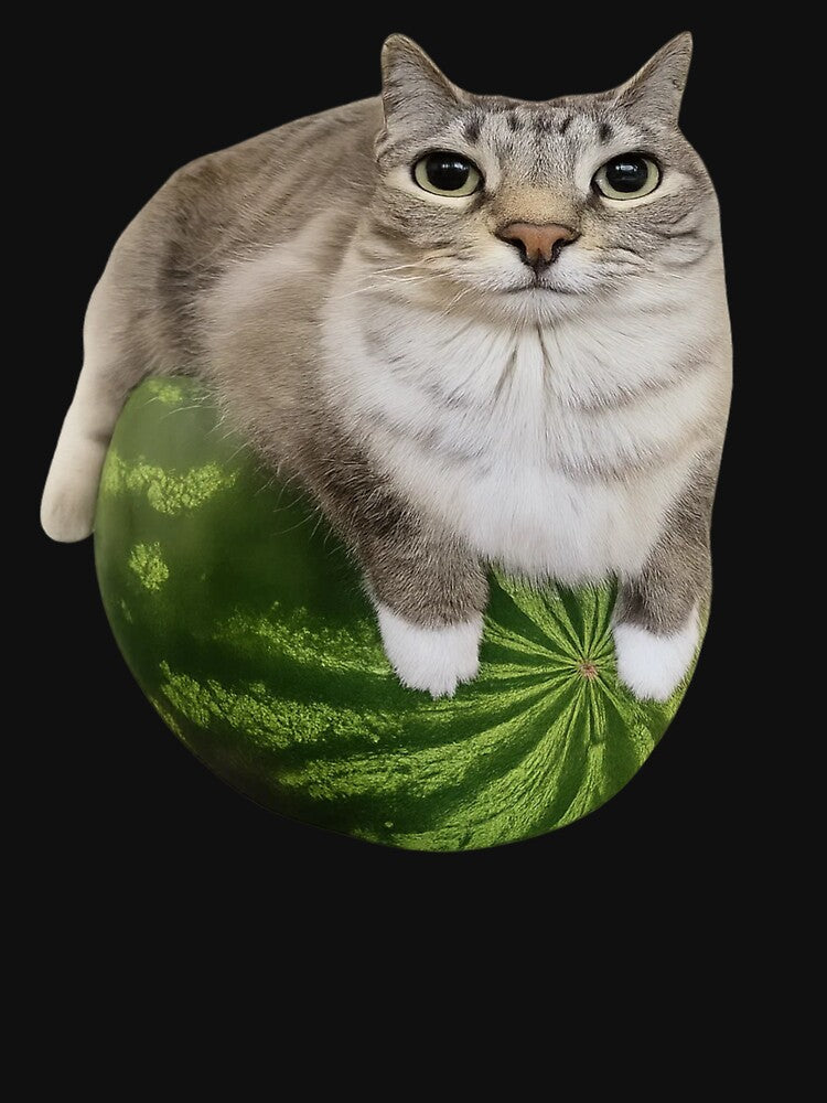Watermelon Cat Silly Cat Meme by TheTimer