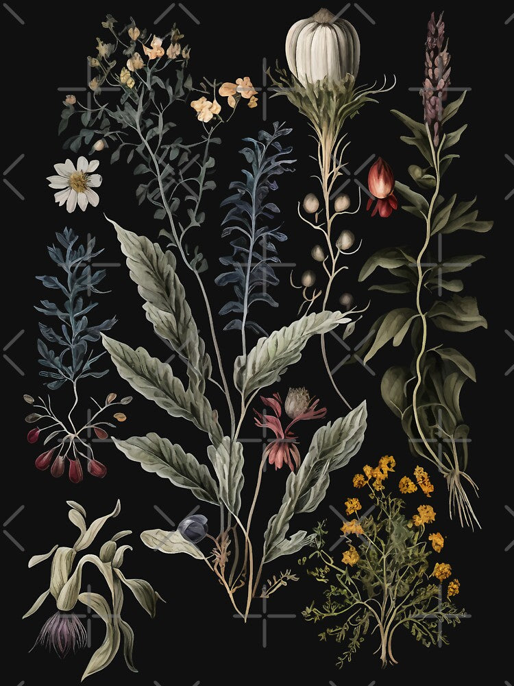 Dark Academia Herbs by Enyr T-Shirts, Hoodie, Sweatshirt | BlankRebels.com (Image 3)