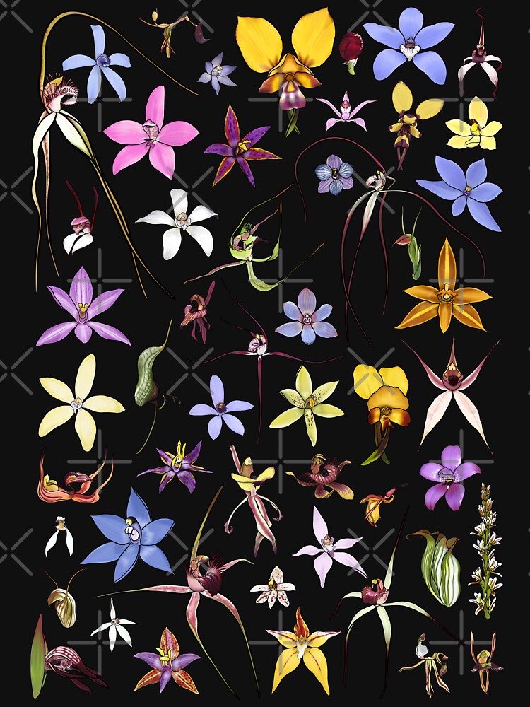 Australian Orchids by JoWillmot T-Shirts, Hoodie, Sweatshirt | BlankRebels.com (Image 3)