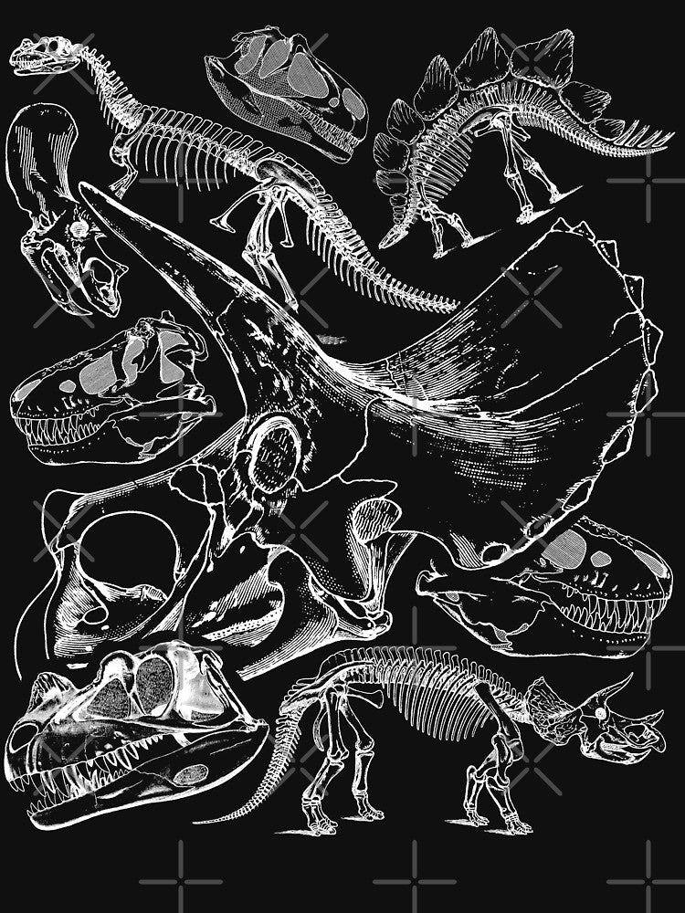 Dinosaur tshirt (Image 3)