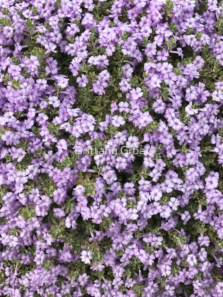 Purple fields by Brittany Grbav T-Shirts, Hoodie, Sweatshirt | BlankRebels.com (Image 2)