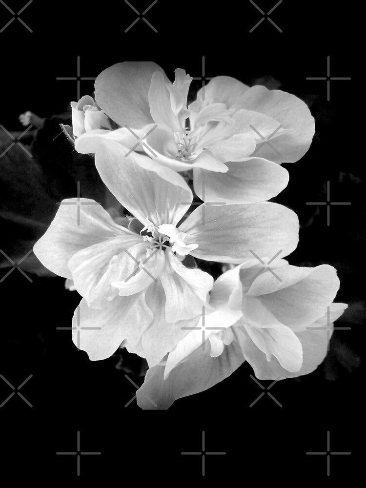 Beautiful black and white geranium flower photography by by-jwp T-Shirts, Hoodie, Sweatshirt | BlankRebels.com (Image 3)