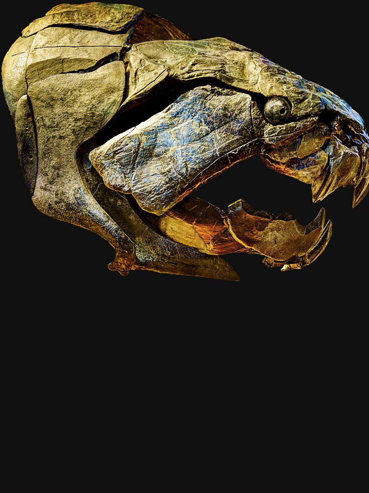 Dunkleosteus skull by Weston  Westmoreland T-Shirts, Hoodie, Sweatshirt | BlankRebels.com (Image 3)