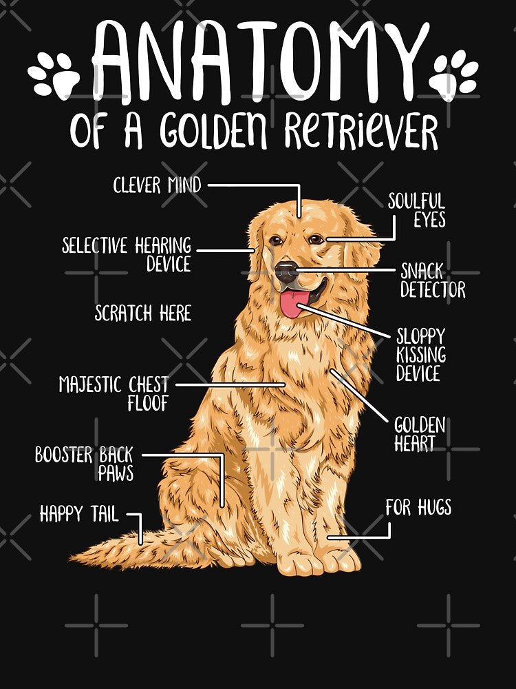 Funny Golden Retriever Anatomy Dog Owner Dog Lover by lanynx design
