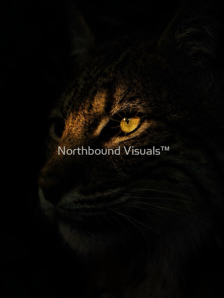 Keeper of the Dark by Northbound Visuals™ T-Shirts, Hoodie, Sweatshirt | BlankRebels.com (Image 3)