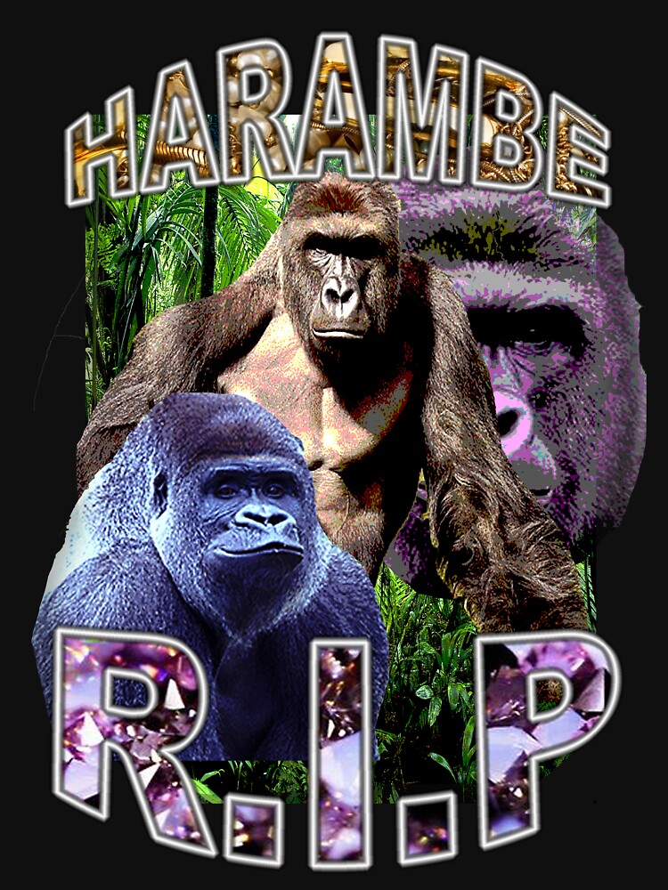 R.I.P. Harambe Vintage Hip-Hop by TadPerez T-Shirts, Hoodie, Sweatshirt | BlankRebels.com (Image 3)