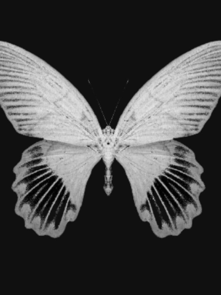 grey vintage butterfly design by hannahhamo T-Shirts, Hoodie, Sweatshirt | BlankRebels.com (Image 3)