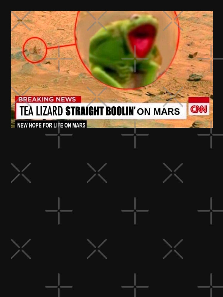 TEA LIZARD STRAIGHT BOOLIN by meme-stuff T-Shirts, Hoodie, Sweatshirt | BlankRebels.com (Image 3)