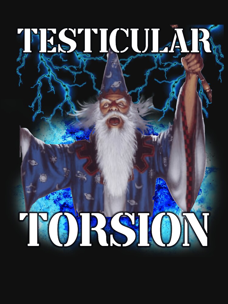 Testicular Torsion by Ashley Allen T-Shirts, Hoodie, Sweatshirt | BlankRebels.com (Image 3)