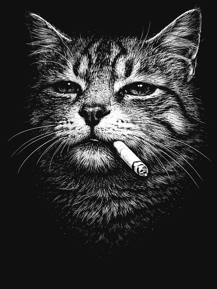cat Smoking Cigarette Funny cat Meme by Kladhadredo T-Shirts, Hoodie, Sweatshirt | BlankRebels.com (Image 3)