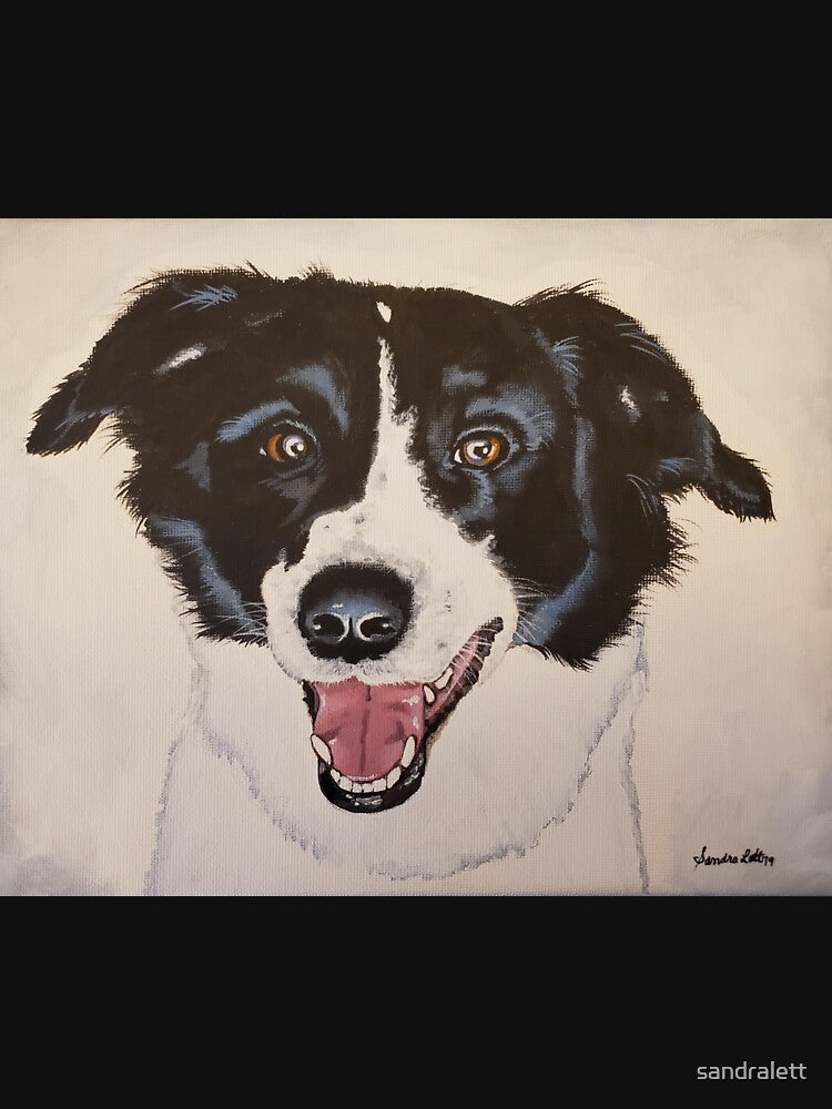 Border Collie by Sandra Lett