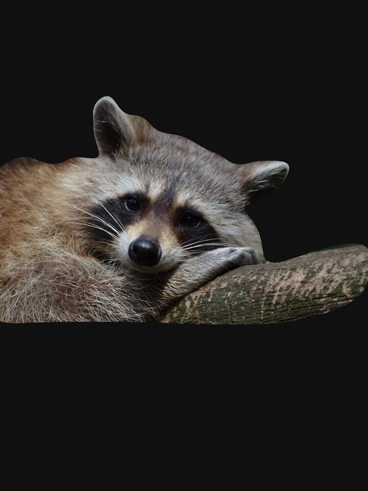 Raccoon by makayla826 T-Shirts, Hoodie, Sweatshirt | BlankRebels.com (Image 3)