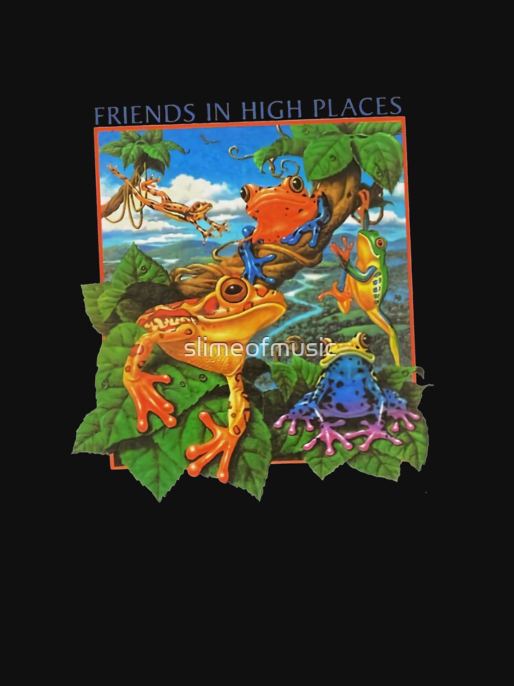 Many Friends in high places sing with Frogs funny by slimeofmusic T-Shirts, Hoodie, Sweatshirt | BlankRebels.com (Image 3)