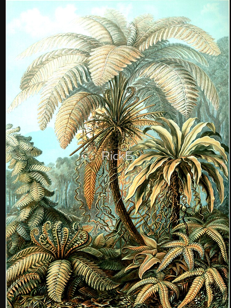 Palm Tree Vintage Botanical Illustration Tropical Nature Lovers by RickE T-Shirts, Hoodie, Sweatshirt (Image 3)