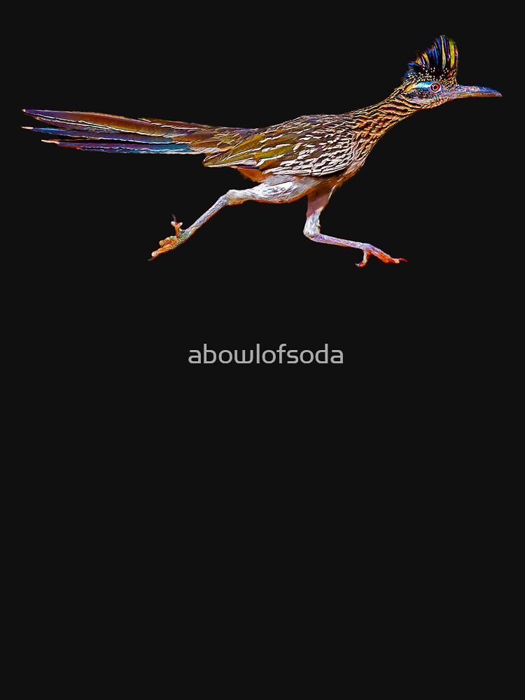 Roadrunner Running by abowlofsoda