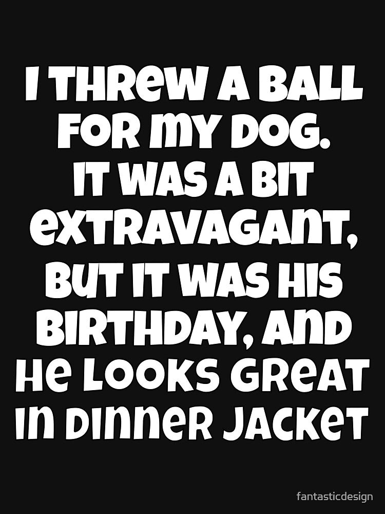 Funny Sarcastic Pun Humor I Threw A Ball For My Dog. It Was A Bit Extravagant I Know by fantasticdesign... (Image 3)