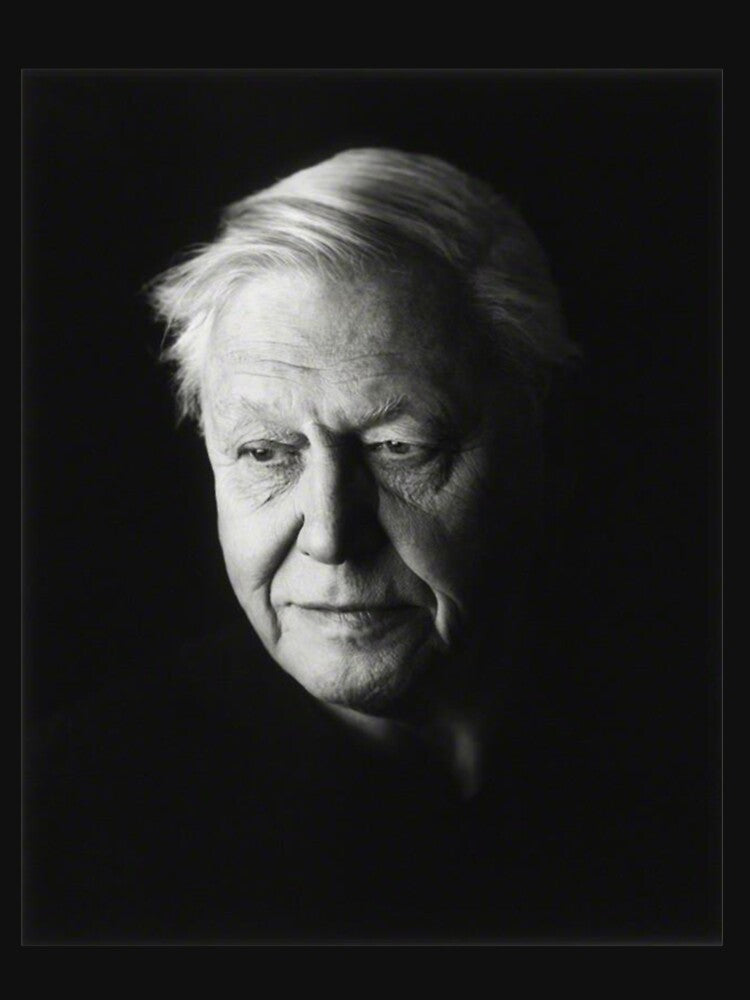 david attenborough black and white by CodySCH T-Shirts, Hoodie, Sweatshirt | BlankRebels.com (Image 3)