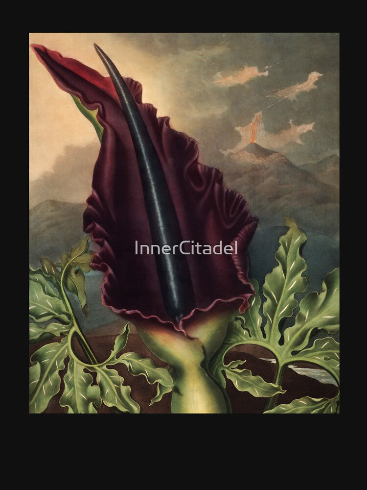 The Dragon Arum by Robert John Thornton Botanical Illustration by InnerCitadel T-Shirts, Hoodie, Sweatshirt (Image 3)
