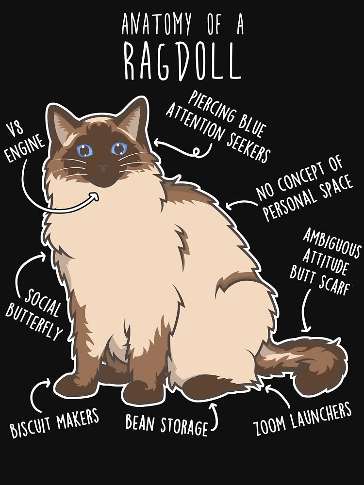 Seal Ragdoll Cat Anatomy by Clara Hollins T-Shirts, Hoodie, Sweatshirt | BlankRebels.com (Image 3)