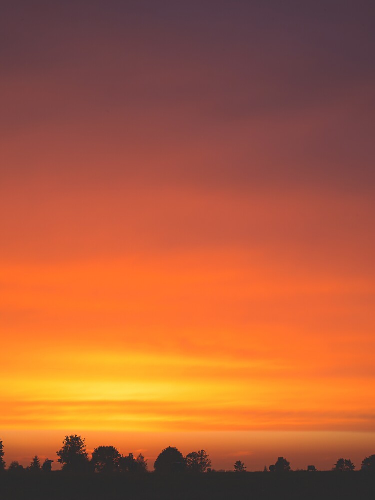 BEAUTIFUL SUNNY SKY by MJ96-PRO T-Shirts, Hoodie, Sweatshirt | BlankRebels.com (Image 3)